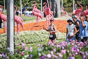 BIB: 
                            <button type="button" onclick="openModal(27793984)" class="btn btn-primary btn-sm float-right btn-popup" data-toggle="modal" data-target=".modal-high-quality">
                        <i class="fas fa-shopping-cart"></i> Add to Cart
                    </button>
                                            <button type="button" onclick="isThisMe(27793984, true)" class="btn btn-success btn-sm float-right btn-popup btn-isme hidden" data-toggle="tooltip" data-placement="bottom" title="นี่คือรูปของคุณใช่ไหม คลิกที่นี่เพื่อเอาเข้าอัลบั้ม">
                        <i class="fas fa-plus"></i> Add to album
                    </button>
                    <button type="button" onclick="isThisMe(27793984, false)" class="btn btn-warning btn-sm float-right btn-popup btn-isnotme hidden">
                        <i class="fas fa-ban"></i> Remove from album
                    </button>